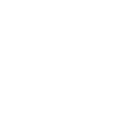 it services 03 1